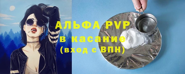 хмурый Нефтекумск