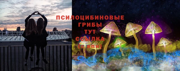 ешки Абаза